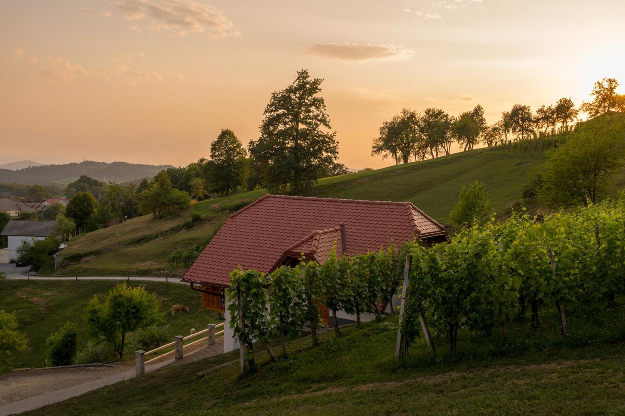 Vineyard Cottage Krivic Trebelno Exterior foto