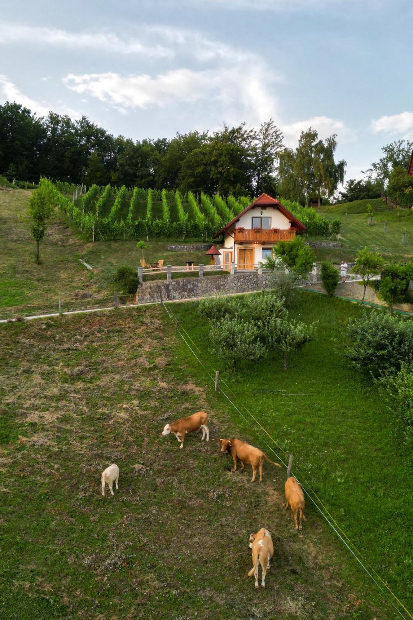 Vineyard Cottage Krivic Trebelno Exterior foto
